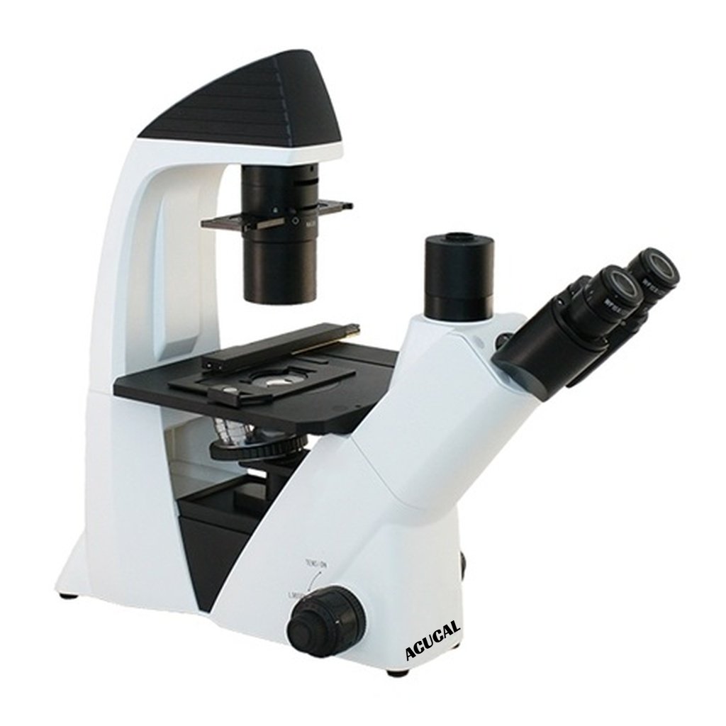 Product View